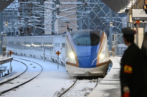 Japon : un serpent retarde le train à grande vitesse le plus ponctuel au monde