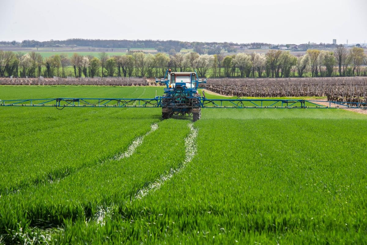 Blé, maïs, colza… Les grandes cultures françaises veulent « éviter le naufrage » et appellent à l’aide