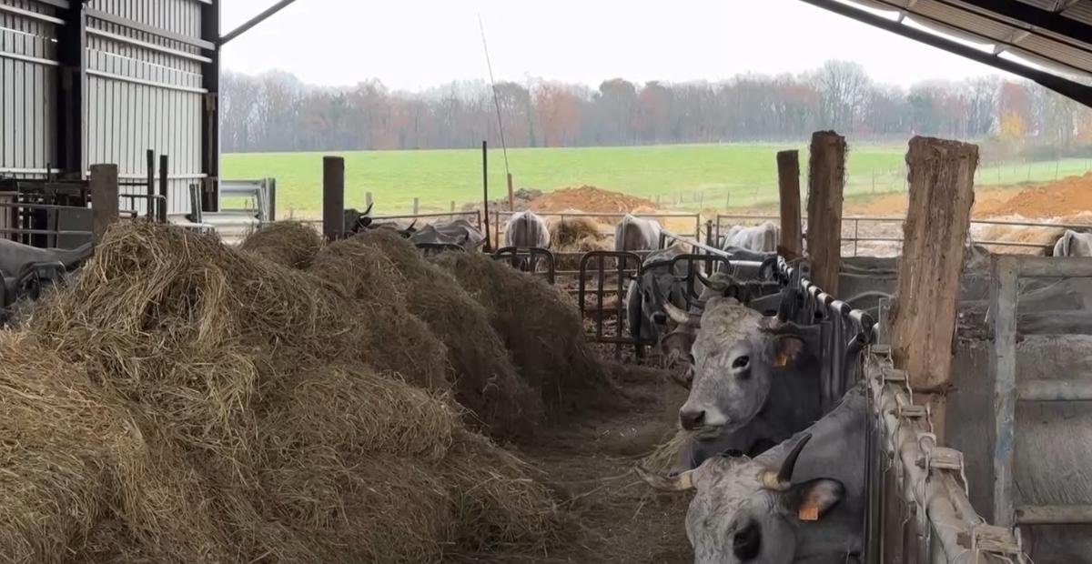 Colère des agriculteurs : une loi d’urgence loin d’apaiser les tensions