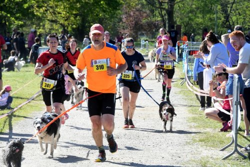 Caubeyres : un canicross solidaire, pour soutenir la SPA