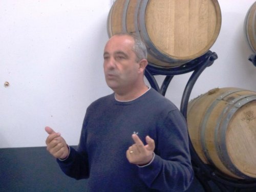 CdC de Cognac : le greffage des vignes américaines a sauvé le vignoble français
