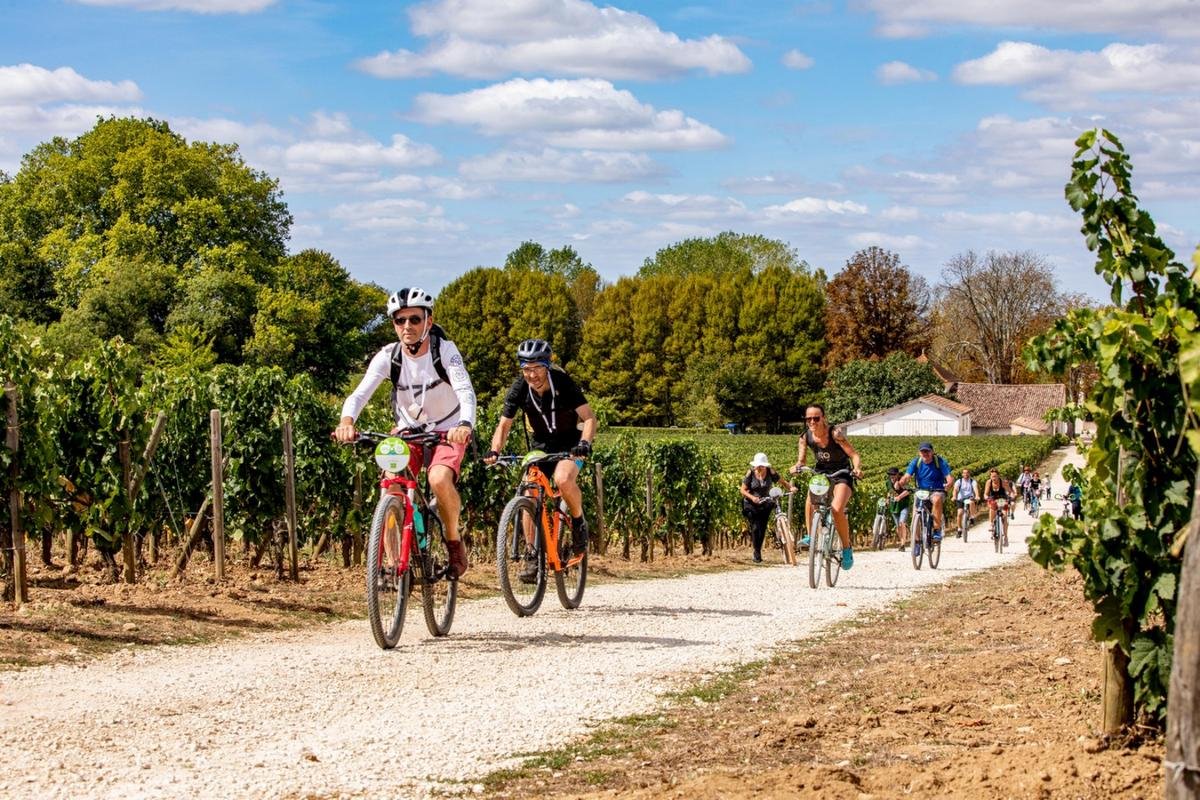 Gironde : le Vélotour débarque dans les vignes de Pessac-Léognan en juin