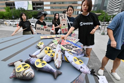 Fukushima : des experts japonais et chinois dialoguent pour la première fois sur le rejet des eaux contaminées