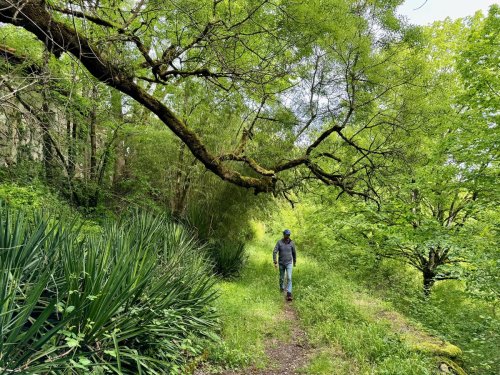 [redirection evergreen] À faire près d’Agen : une randonnée entre vestiges des Templiers et forêt paléolithique