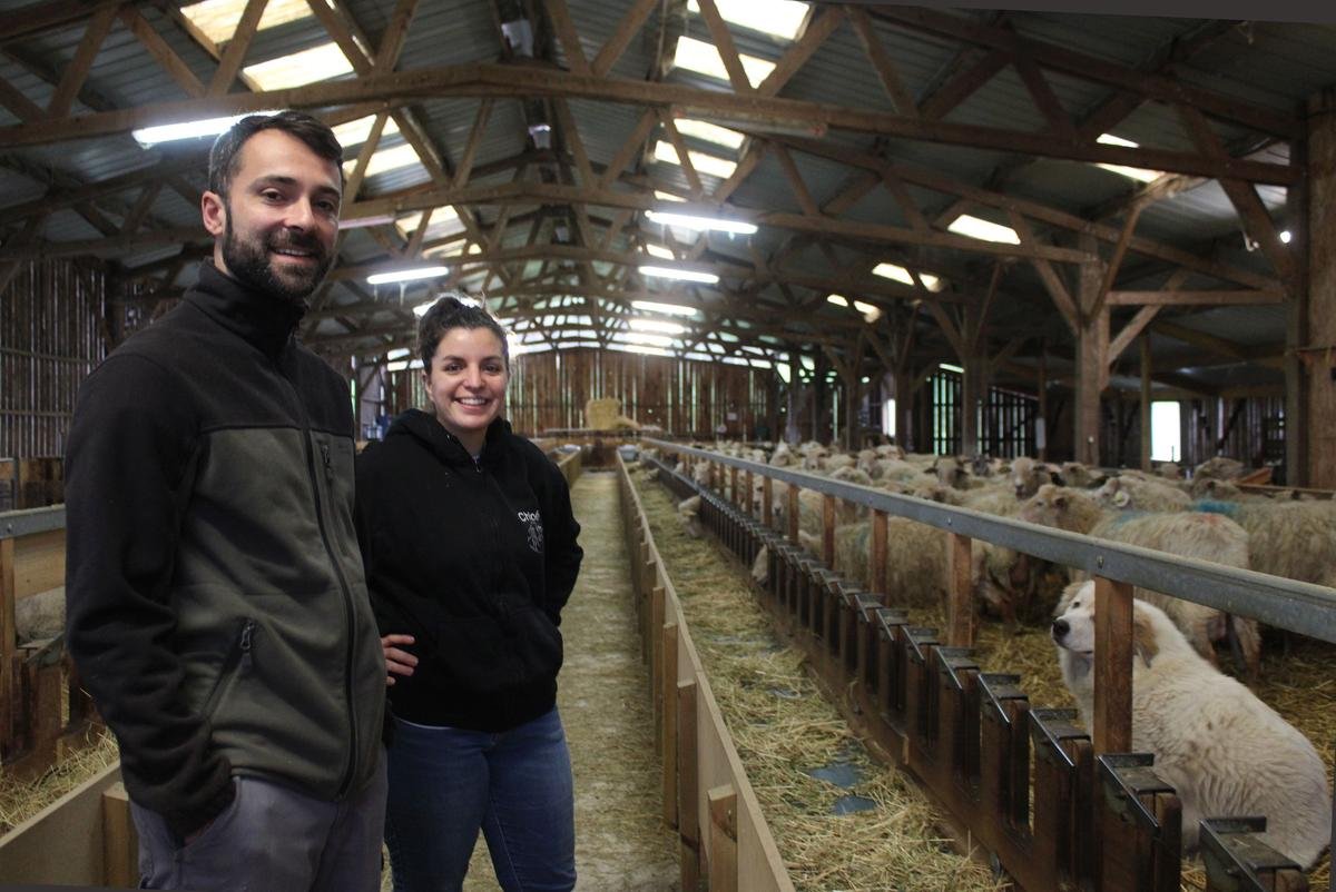 « Nous voulions faire un lien entre vin et fromage » : un barricou en forme de barrique doublement médaillé