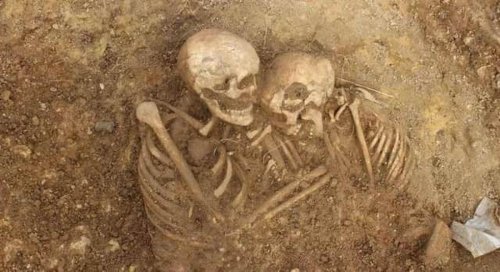 Les squelettes de 60 Romains découverts dans un cimetière du Yorkshire, en Angleterre