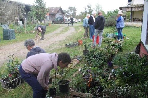 Bégaar : un troc de plantes et d’idées réussi