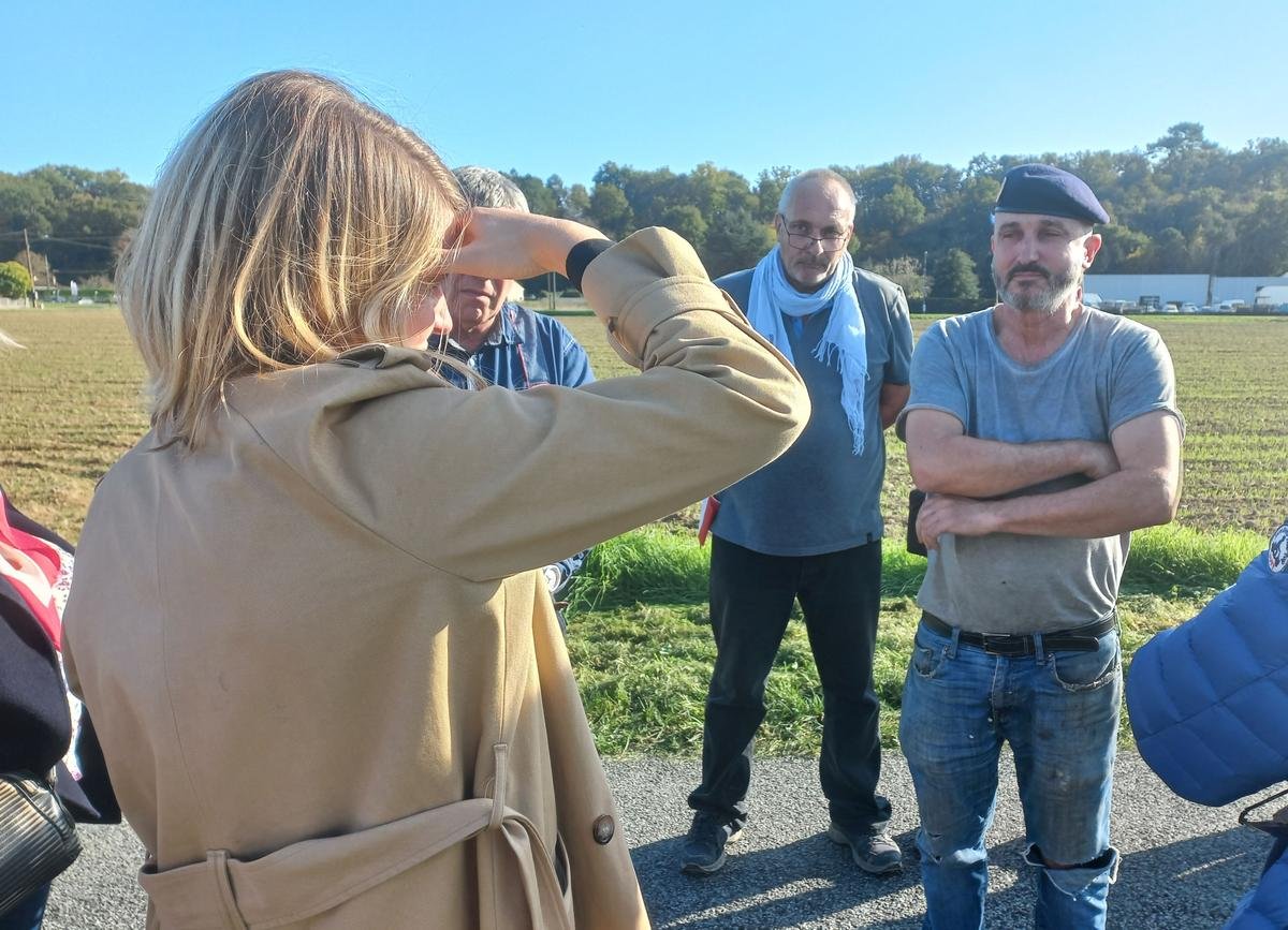 Projet de lotissement dans un champ de Dordogne : la valeur du terrain concerné passe de 80 000 à « près de 130 000 euros »