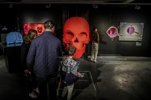Œuvres d’art en Lego à Bordeaux : les premiers visiteurs « bluffés »