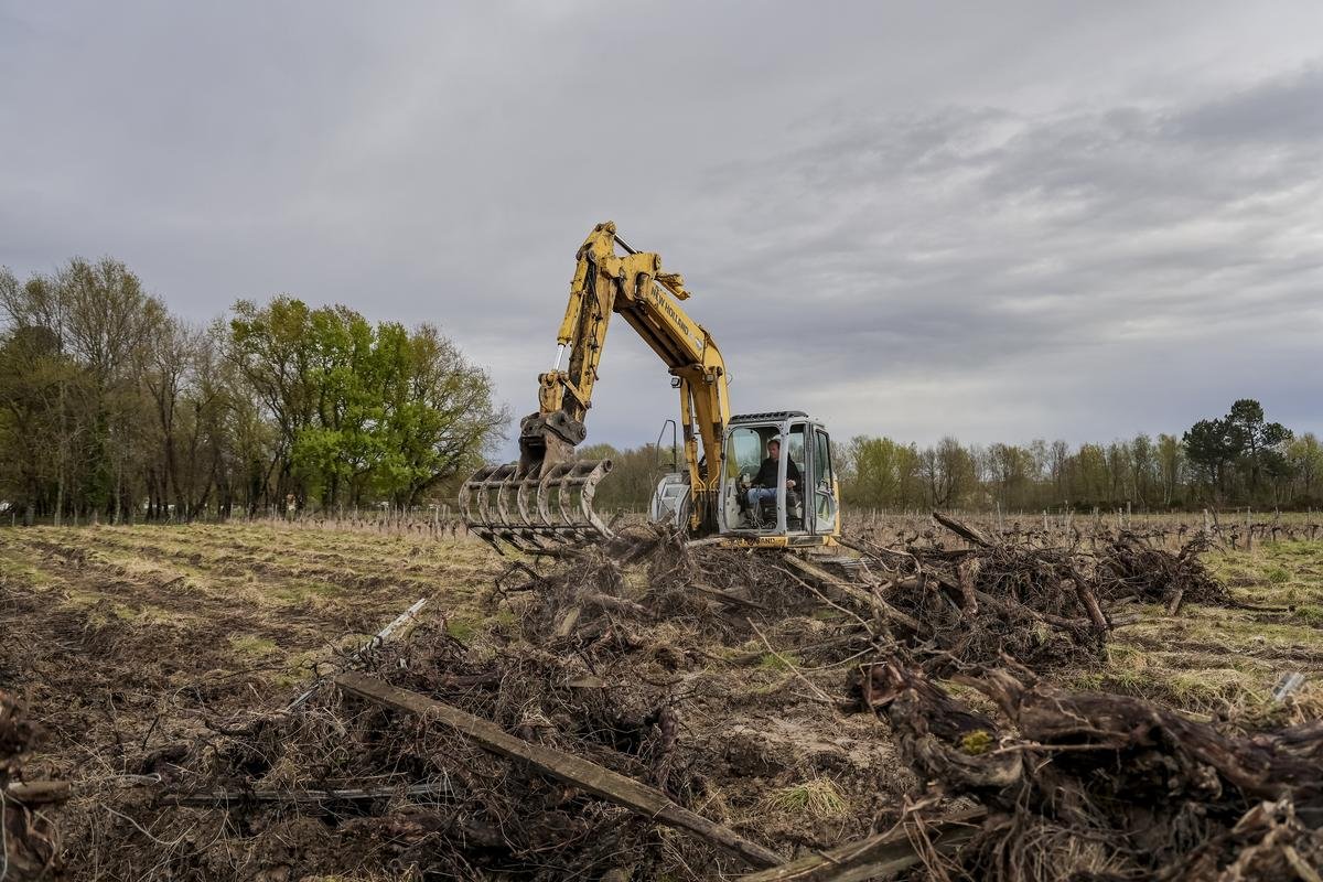 Viticulture. Arrachage, réduction de surfaces, perte d’emplois… Une crise qui n’en finit plus