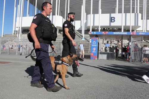 Coupe du monde de rugby à Bordeaux : leurs chiens détectent les ceintures d’explosifs aux abords du stade