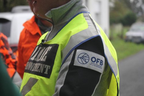 Pays basque : deux chasseurs espagnols en pick-up forcent un contrôle de la police de l’environnement