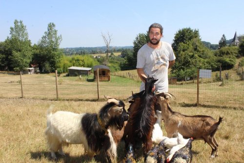 Sainte-Suzanne : la ferme pédagogique des Marnières ouvre sa ménagerie au public