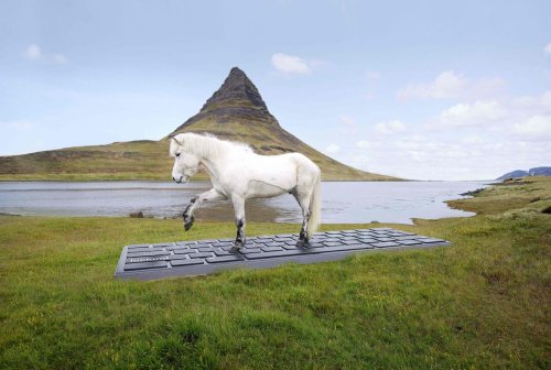 Vidéo. Des chevaux islandais répondent à vos mails pendant vos congés