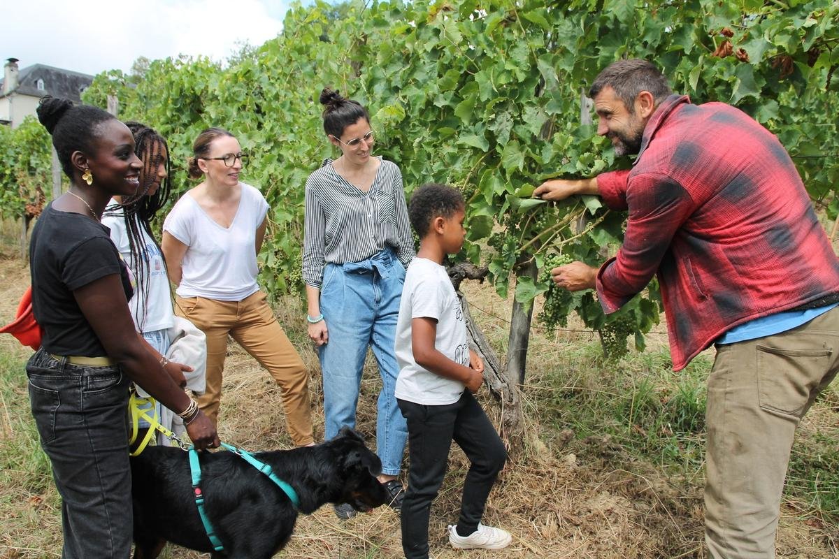 Du sabre au sécateur : un ancien escrimeur se reconvertit en vigneron bio dans le jurançon