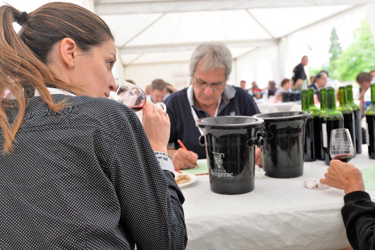 Comment devenir Vigneron de l’année ? Trente ans de Concours des vins de Bergerac et Duras à la loupe