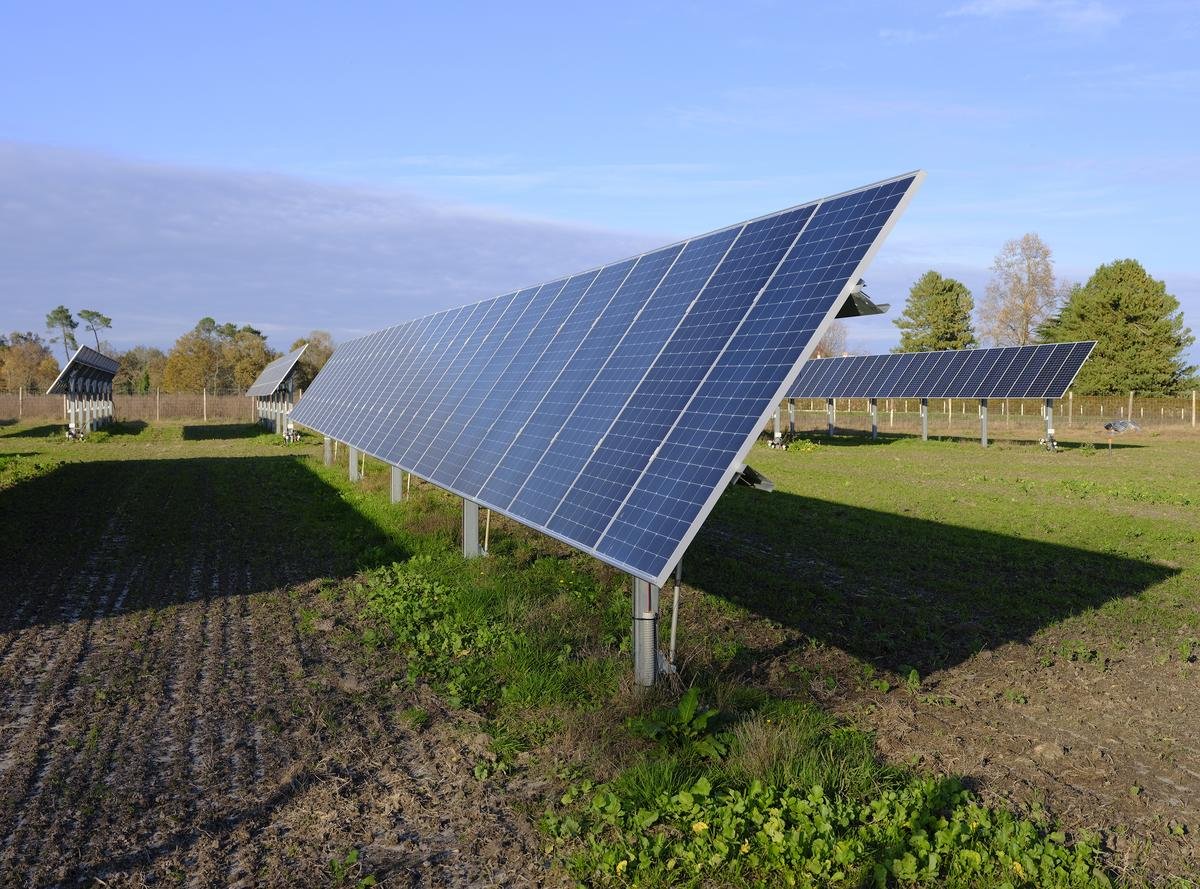L’ancienne piste de l’aérodrome de Bouglon pourrait être transformée en site agrivoltaïque