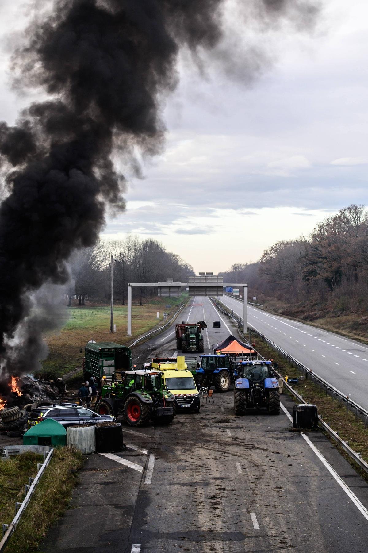 Dermatose : vacciner, une décision nationale aux enjeux commerciaux importants