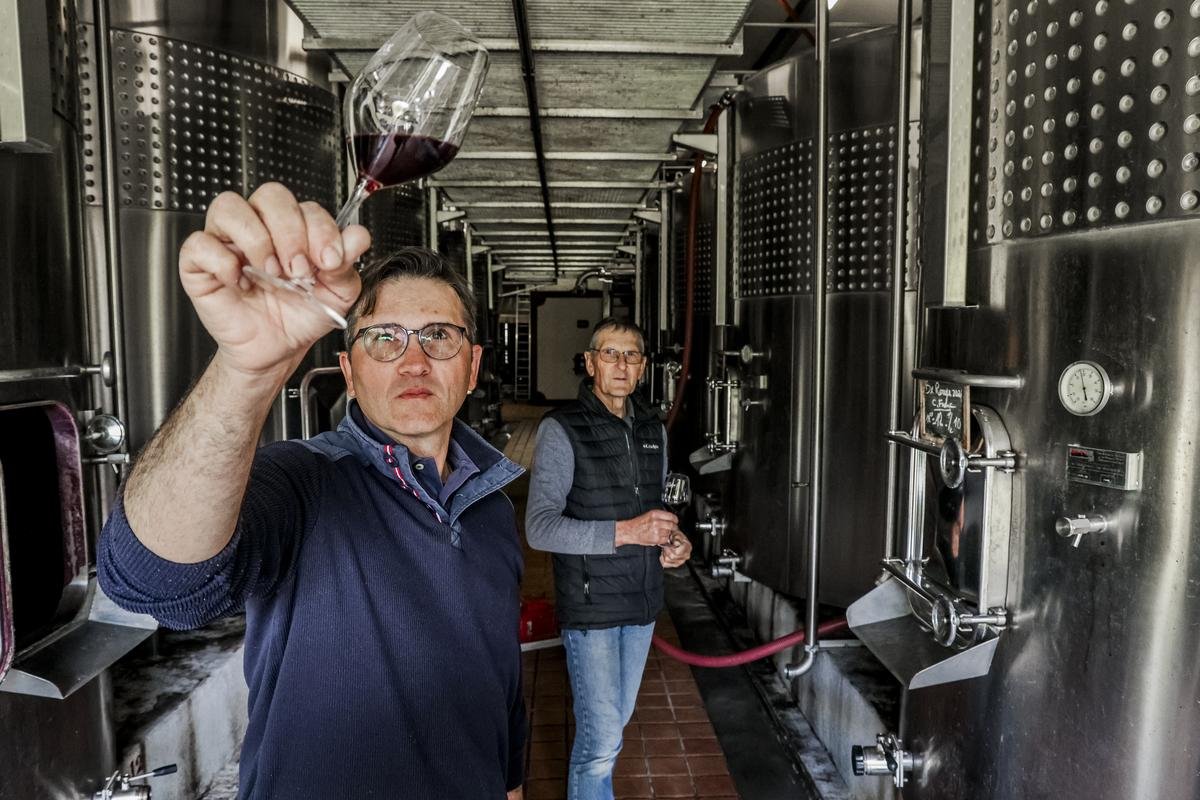Ces vignerons qui travaillent avec les négociants : « Il est normal que mes efforts soient récompensés »