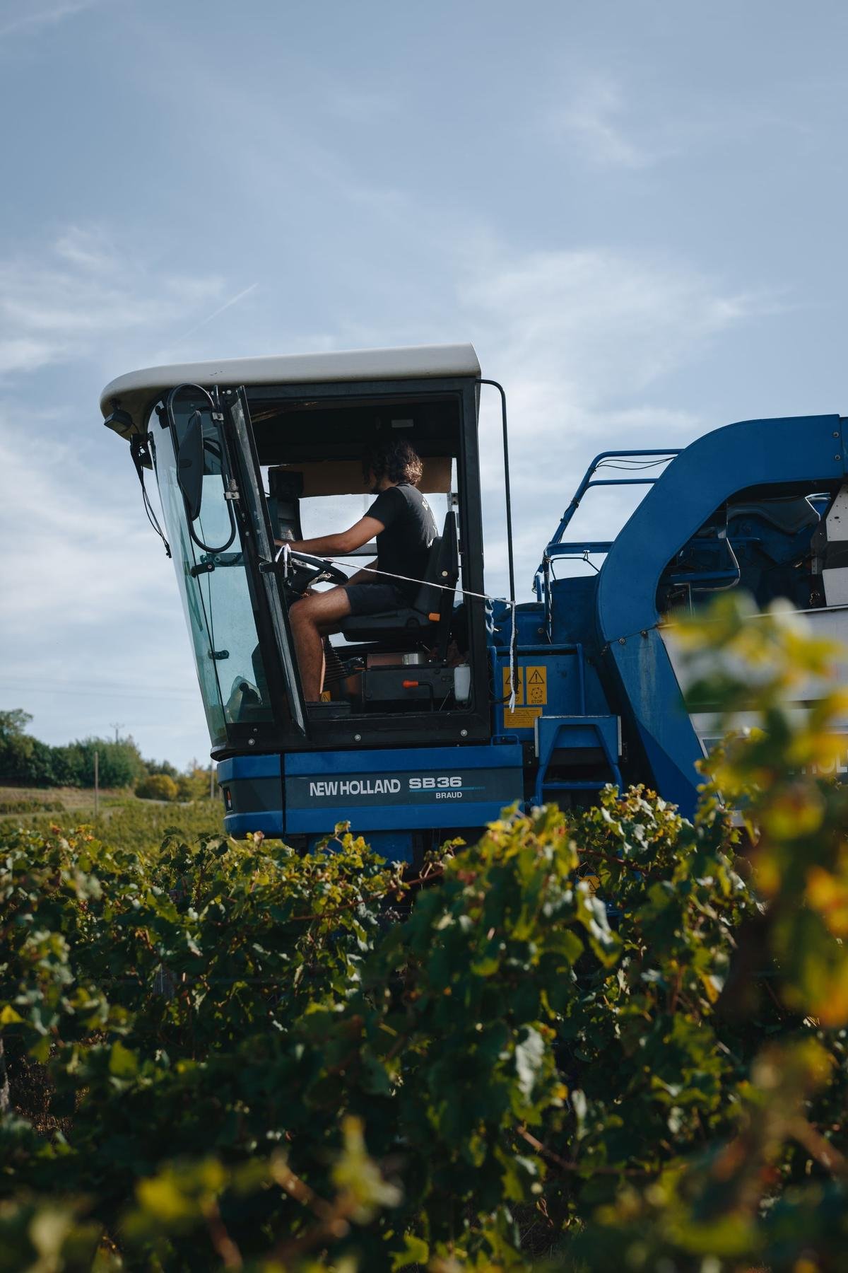 En Haute Gironde, les Jeunes agriculteurs demandent un soutien fort en leur faveur
