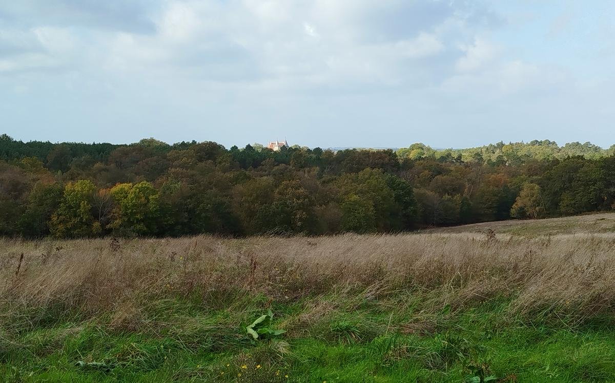 En Dordogne, un projet agrivoltaïque en plein cœur d’un massif forestier contesté