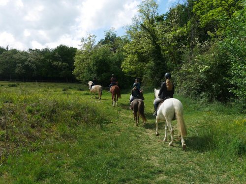 Lot-et-Garonne : partez à cheval sur la route d’Artagnan