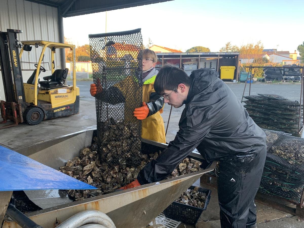 Orientation scolaire : le bac pro cultures marines pour les passionnés de produits de la mer