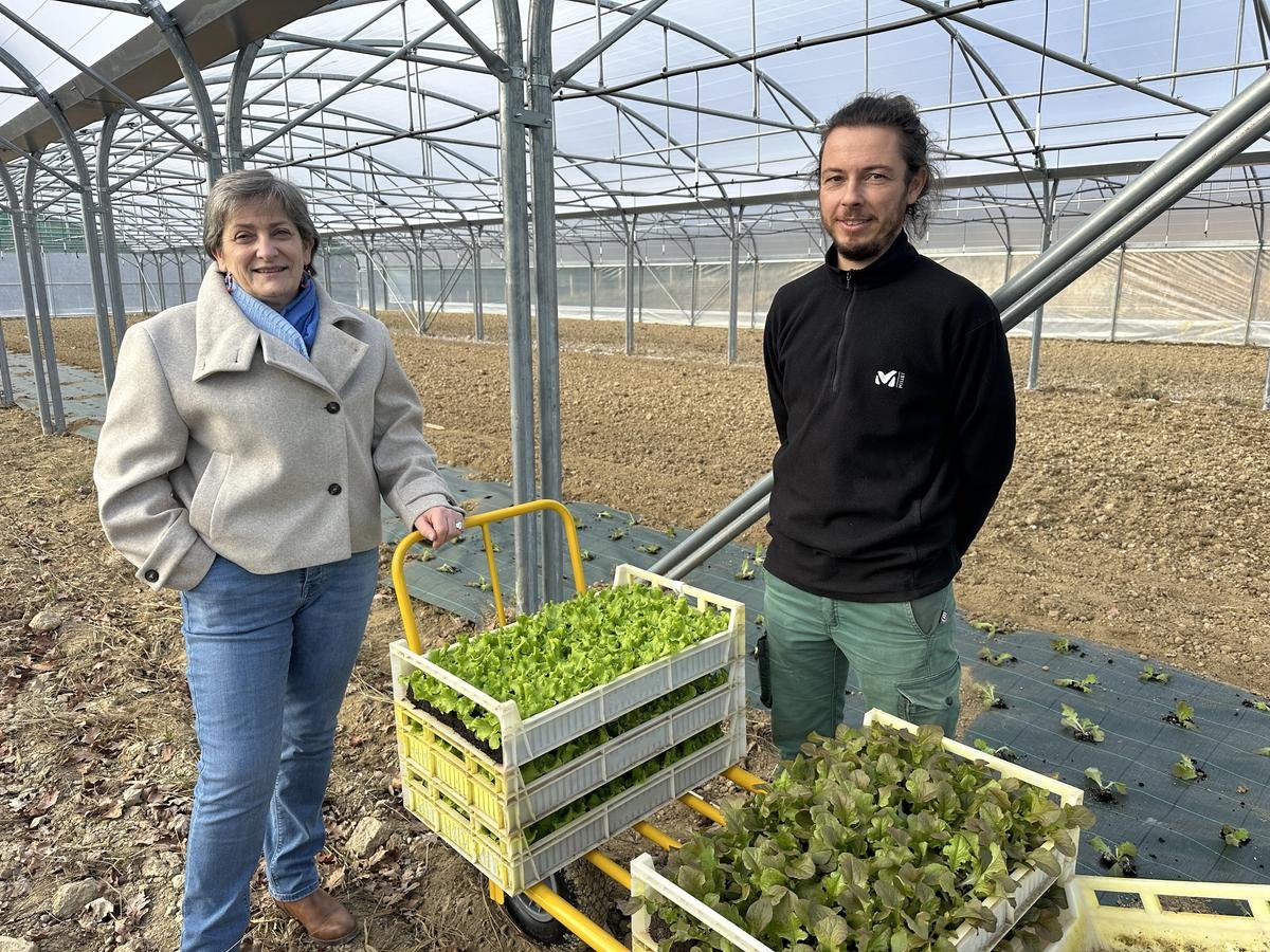 Urrugne : objectif 12 tonnes de légumes par an pour la ferme municipale créée à Berroueta