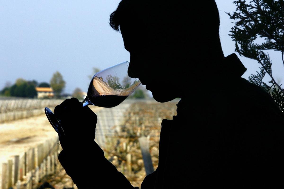 Le climat est-il vraiment seul responsable de l’augmentation du degré d’alcool des vins ?