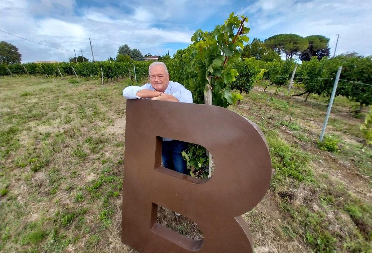 Vin. « Il faut redonner de la liberté » : Et si les Bordeaux viraient sous label IGP ?