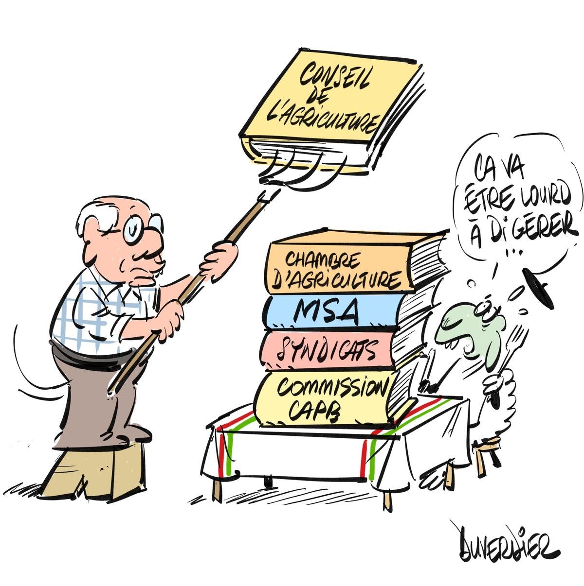 Pays basque : les Brouillarta du samedi 13 décembre 2025 sont servis !