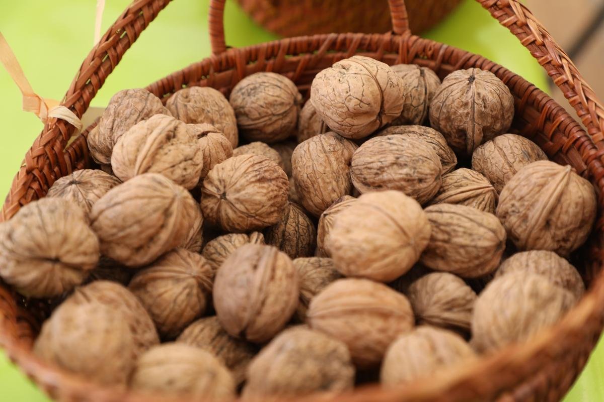 Dordogne : l’AOP Noix du Périgord nourrit un grand appétit de conquête