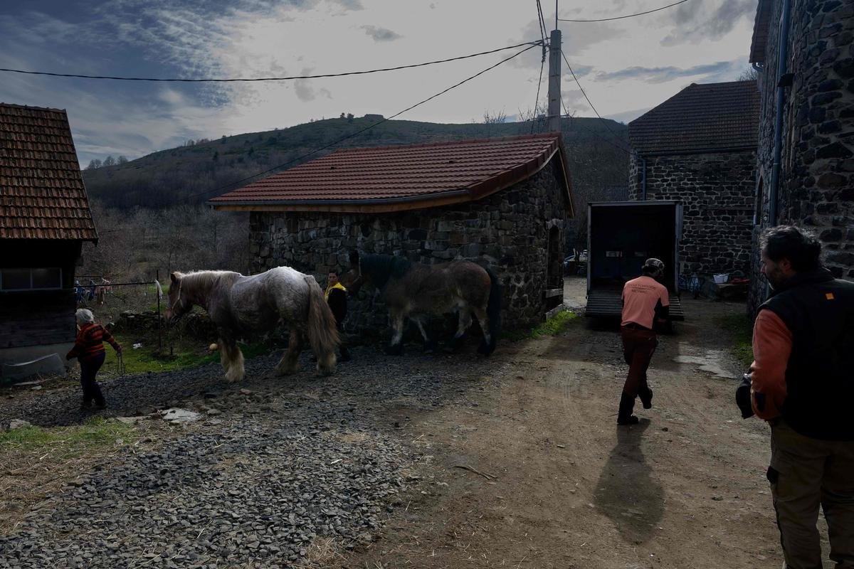 Sept chiens tués en Ardèche : deux procès en un, celui des chasseurs et celui de la communauté agricole autogérée