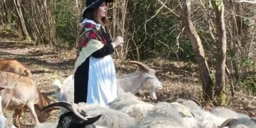Mézos : une exposition et des animations sur l’histoire des bergeries des Landes de Gascogne
