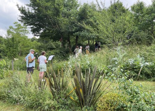 Rendez-vous aux jardins : quelques idées de visites en Saintonge