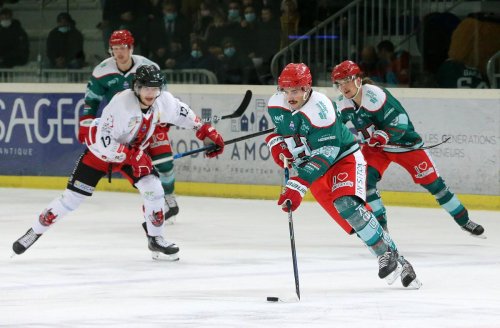 Hockey (Ligue Magnus) : le ménage commence à l’Hormadi