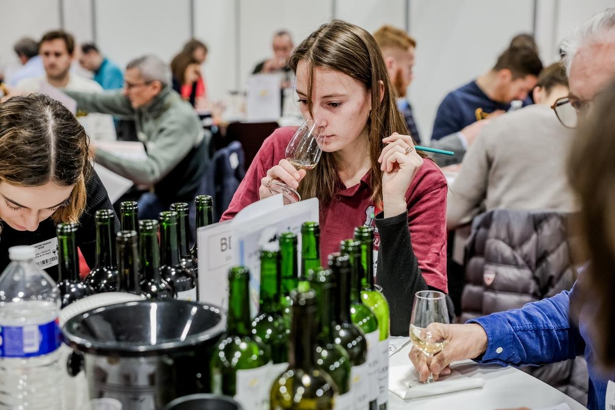 445 vins de Bordeaux primés lors du Concours général agricole : découvrez le palmarès 2025 intégral
