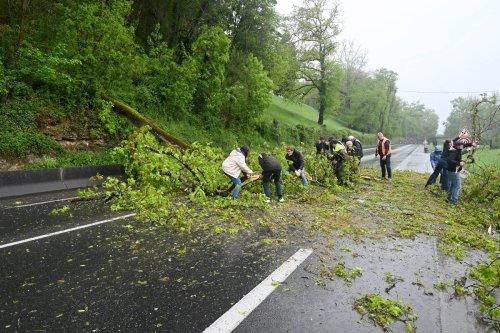 Crues en Dordogne : une quarantaine de chutes d’arbres sur les routes du département