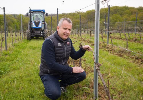 Bordeaux Tasting : les propriétés viticoles produisent toujours plus propre