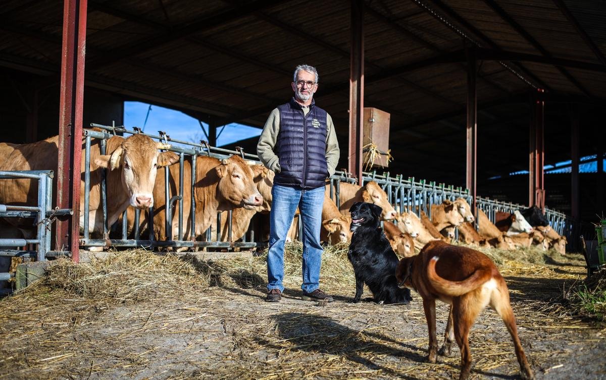 VIDÉO. Dermatose. « Le protocole marche », « stop à la manipulation », « la CR ne cherche que le chaos » : un éleveur lot-et-garonnais s’insurge