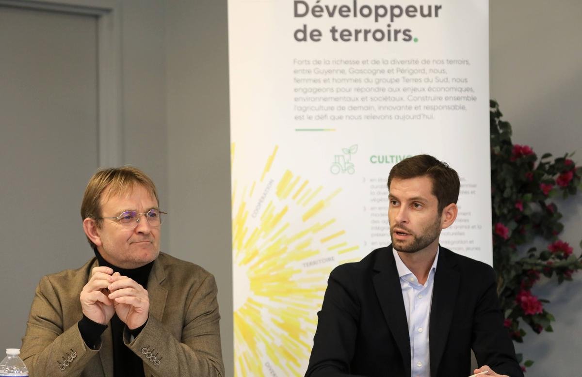 Agriculture : les coopératives Terres du Sud et Vivadour en passe de fusionner