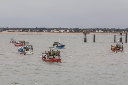 Port de pêche de La Rochelle : un bilan 2023 stable, mais un horizon bouché