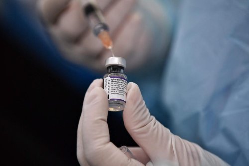 Covid-19 : la désinformation sur les vaccins pousse des internautes à rechercher du « sang pur »