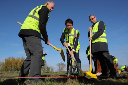 Bordeaux : 200 arbres plantés pour dépolluer le sol du dépôt de tramways de La Jallère