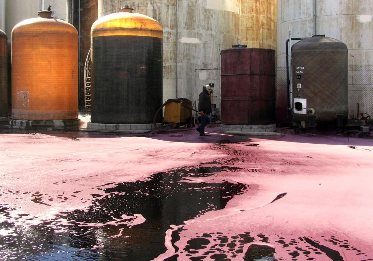 Vins de Bordeaux : plusieurs cuves vidées intentionnellement, la tension monte dans le vignoble