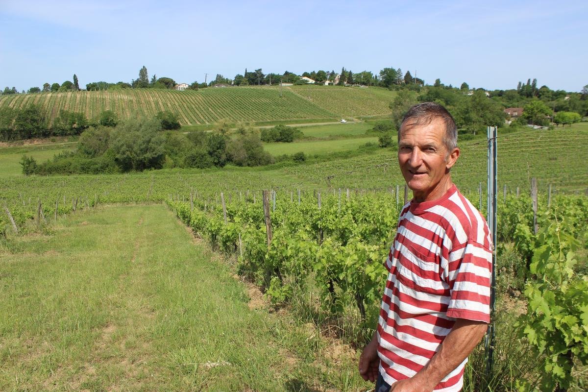 Lot-et-Garonne : après une récolte une nouvelle fois décevante, les viticulteurs veulent « faire entendre leurs voix »