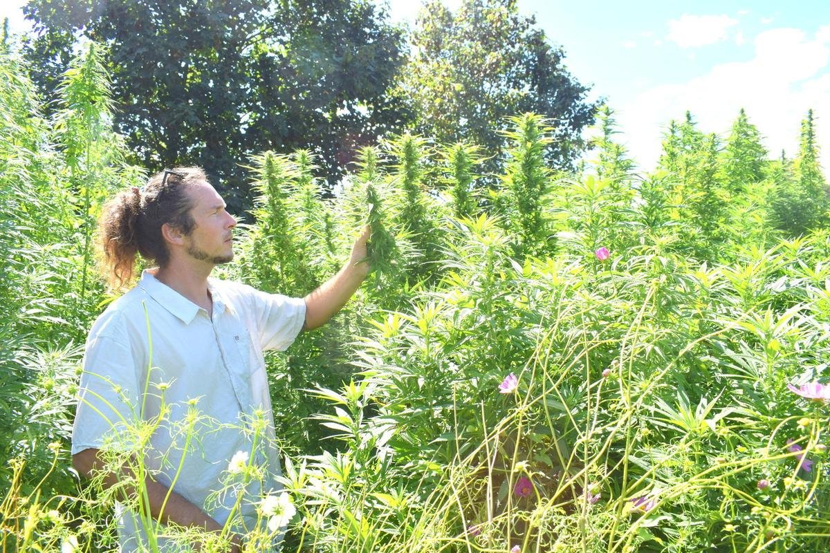 Duras : il cultive des plantes aromatiques et médicinales
