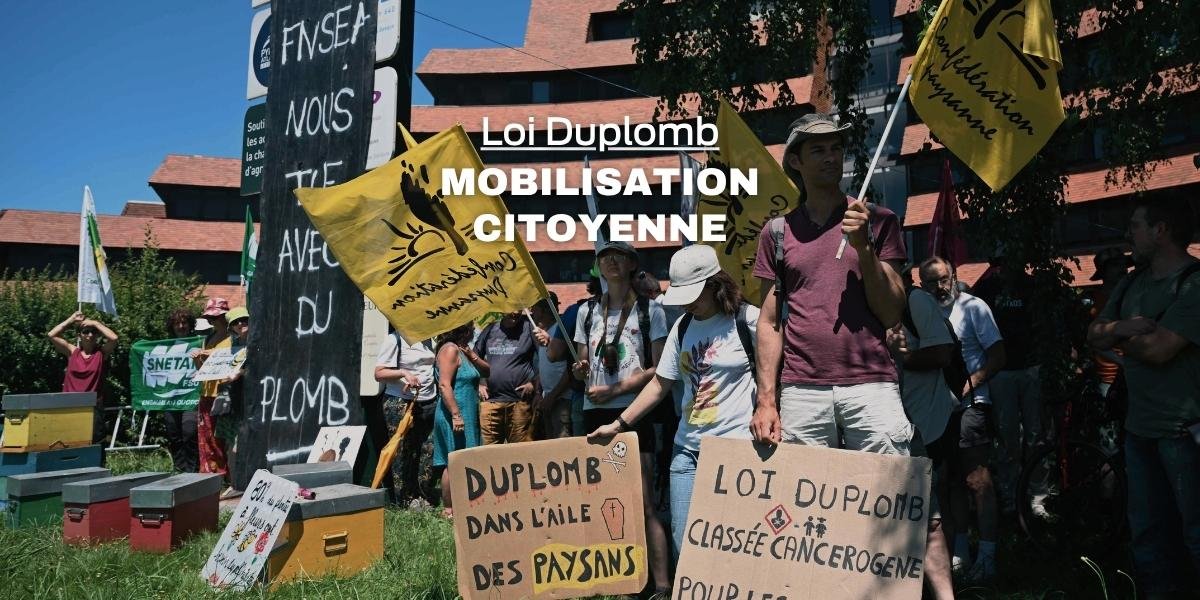 Loi Duplomb : quand une pétition citoyenne fait vaciller le texte du gouvernement