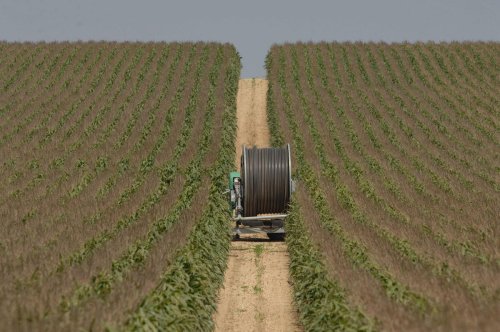 « Il est urgent d’agir car la nature souffre en silence » : en Charente-Maritime, Nature Environnement 17 sur tous les fronts