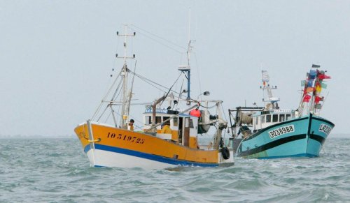 Pêche durable : la France était très loin de ses objectifs en 2021